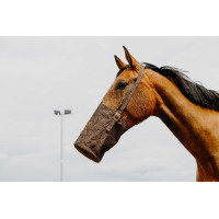Musette 600 denari Musette 600 denari