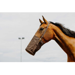 Musette 600 denari Musette 600 denari