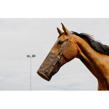 Musette 600 denari Musette 600 denari