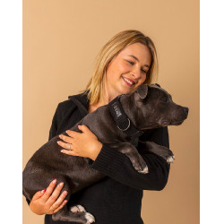 Collare GEM cane Nero