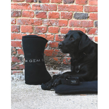 Collare GEM cane Nero