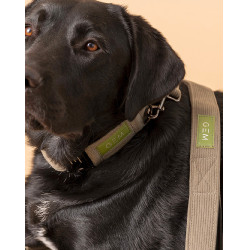 Lascia GEM cane Kaki Lascia GEM cane Kaki