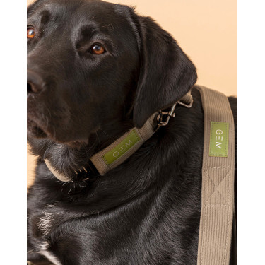 Lascia GEM cane Kaki Lascia GEM cane Kaki