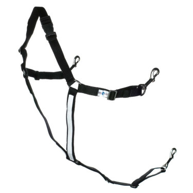 Bricolaggio americano sintetico pony Finn-Tack Pro