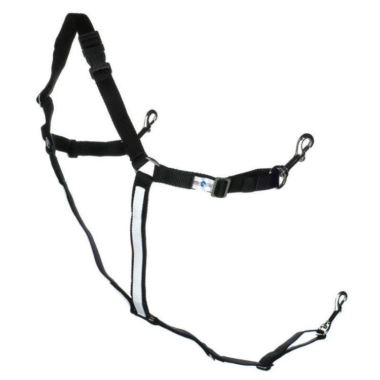 Bricolaggio americano sintetico pony Finn-Tack Pro