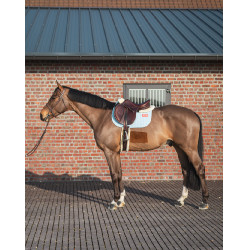 Tappeto GEM Leo ostacolo Tappeto GEM Leo ostacolo