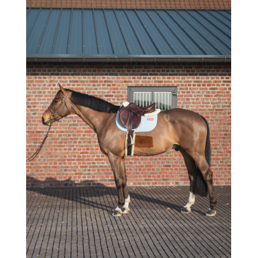Tappeto GEM Leo ostacolo Tappeto GEM Leo ostacolo