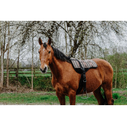 Tappeto da equitazione a pelo Norton Kiowa Tappeto da equitazione a pelo Norton Kiowa