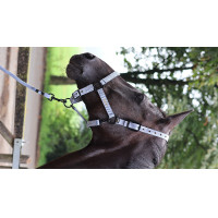 Lunga da attacco Lami-Cell Midnight Blu ardesia Lunga da attacco Lami-Cell Midnight Blu ardesia