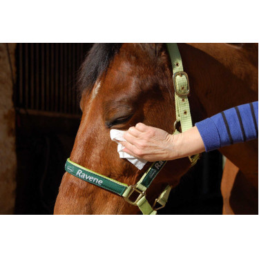 Easy Shine Wipe Ravene Salviette detergenti Easy Shine Wipe Ravene Salviette detergenti
