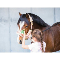 Émouchine Protec Gel Ravene vasetto + spugna