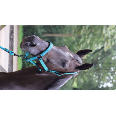 Lunga da attacco Lami-Cell Charming Lunga da attacco Lami-Cell Charming