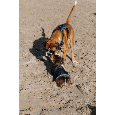 Coperta per cane Equithème Eco 600D Coperta per cane Equithème Eco 600D