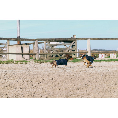 Coperta per cane Equithème Eco 600D Coperta per cane Equithème Eco 600D