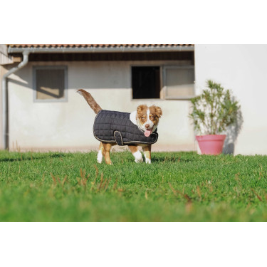 Coperta per cane Ti amo Equithème Coperta per cane Ti amo Equithème
