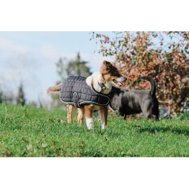 Coperta per cane Ti amo Equithème Coperta per cane Ti amo Equithème