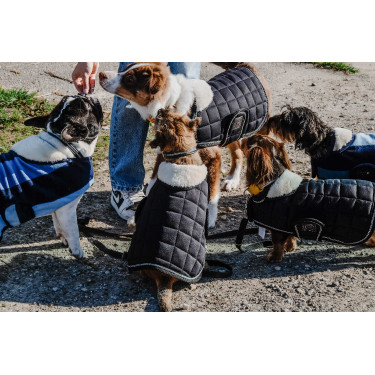 Coperta per cane Ti amo Equithème Coperta per cane Ti amo Equithème