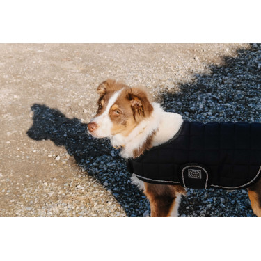 Coperta per cane Ti amo Equithème Coperta per cane Ti amo Equithème