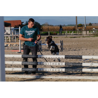 Coperta per cane Ti amo Equithème Coperta per cane Ti amo Equithème