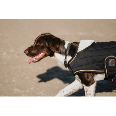 Coperta per cane Ti amo Equithème Coperta per cane Ti amo Equithème