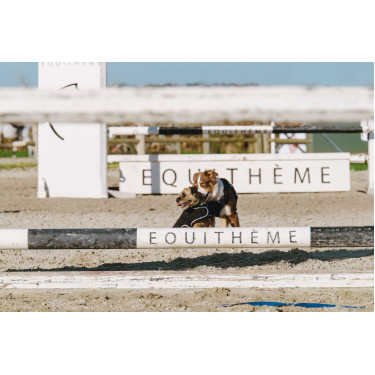 Coperta per cane Ti amo Equithème Coperta per cane Ti amo Equithème