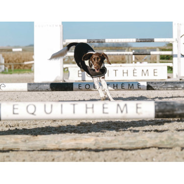 Coperta per cane Ti amo Equithème Coperta per cane Ti amo Equithème