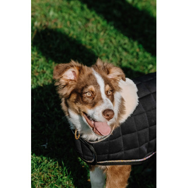 Coperta per cane Ti amo Equithème Coperta per cane Ti amo Equithème