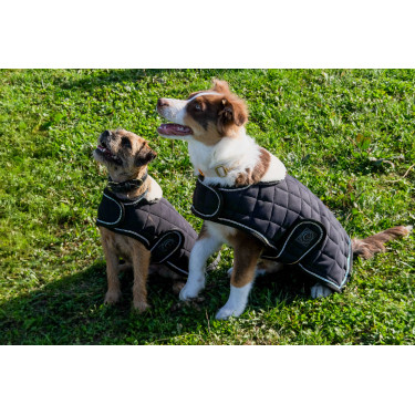 Coperta per cane Ti amo Equithème Coperta per cane Ti amo Equithème