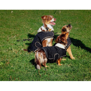 Coperta per cane Ti amo Equithème Coperta per cane Ti amo Equithème