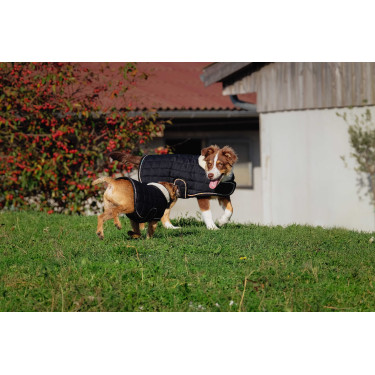 Coperta per cane Ti amo Equithème Coperta per cane Ti amo Equithème