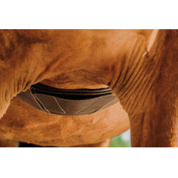 Sottopancia anatomico Magnet Norton Avana Marrone