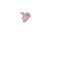 Cuffia anti-mosche per giocattolo Mini Pony LeMieux Fioritura Rosa