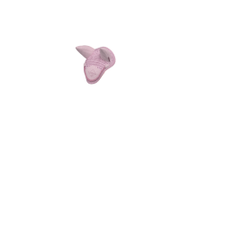 Cuffia anti-mosche per giocattolo Mini Pony LeMieux Fioritura Rosa Cuffia anti-mosche per giocattolo Mini Pony LeMieux Fioritura Rosa