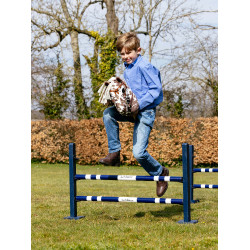 Hobby Horse Dream LeMieux Hobby Horse Dream LeMieux
