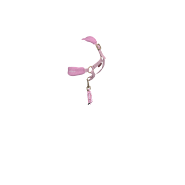 Capestro alla moda per giocattolo Mini Pony LeMieux Fioritura Rosa Capestro alla moda per giocattolo Mini Pony LeMieux Fioritura Rosa