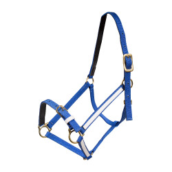 Capestro Yankee Finn-Tack Pro in nylon con capezzina aperta Blu / bianco