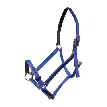 Capestro Yankee Finn-Tack Pro in nylon con capezzina aperta