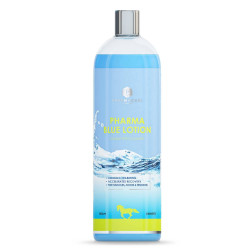 Pharma Blue Lozione 1000ml Pharma Blue Lozione 1000ml