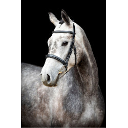 Bridon Montar Hunter Nero