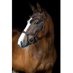 Briglia Montar Monarch in cuoio conciato organicamente Marrone