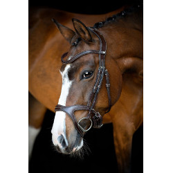 Briglia Montar Monarch in cuoio conciato organicamente Marrone