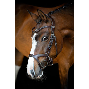 Briglia Montar Monarch in cuoio conciato organicamente Marrone