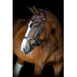 Briglia Montar Monarch in cuoio conciato organicamente Marrone