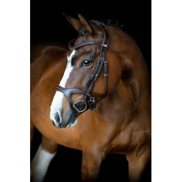 Briglia Montar Monarch in cuoio conciato organicamente Marrone