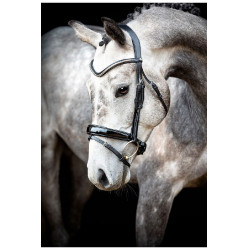 Briglia Montar Normandie Deluxe in cuoio conciato Nero