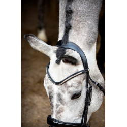 Briglia Montar Normandie Deluxe in cuoio conciato Nero