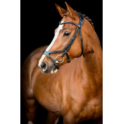 Briglia Montar US Excellence Adapt in cuoio conciato Nero Briglia Montar US Excellence Adapt in cuoio conciato Nero