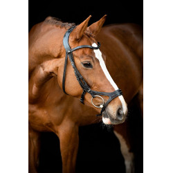 Briglia Montar US Excellence Adapt in cuoio conciato Nero Briglia Montar US Excellence Adapt in cuoio conciato Nero