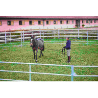 PANNELLI ZINCATI - L 2,40 m...