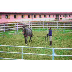 PANNELLI ZINCATI - L 2,40 m - H 1,60 m